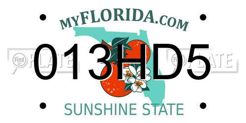013HD5 Florida License Plate