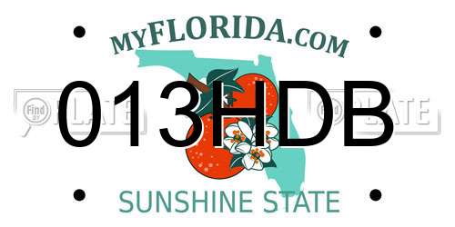 013HDB Florida License Plate
