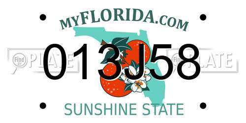 013J58 Florida License Plate