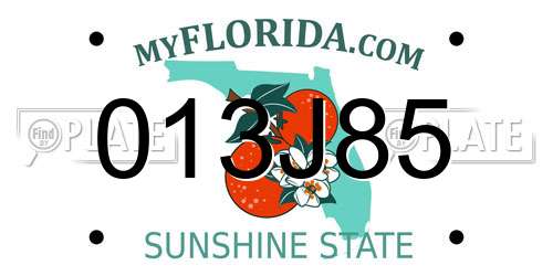 013J85 Florida License Plate