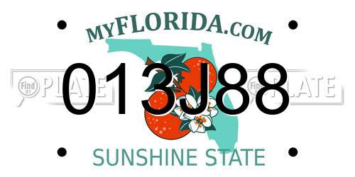 013J88 Florida License Plate