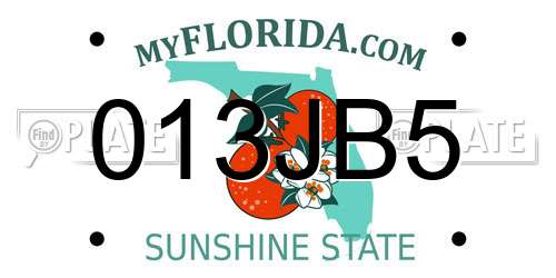 013JB5 Florida License Plate