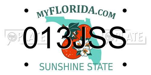 013JSS Florida License Plate