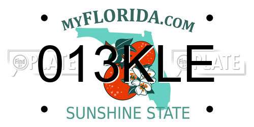 013KLE Florida License Plate