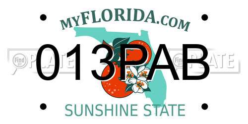 013PAB Florida License Plate