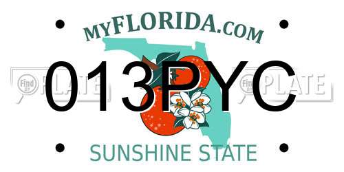 013PYC Florida License Plate