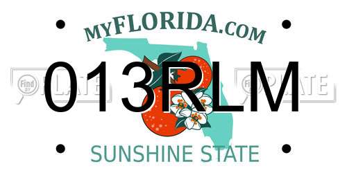 013RLM Florida License Plate