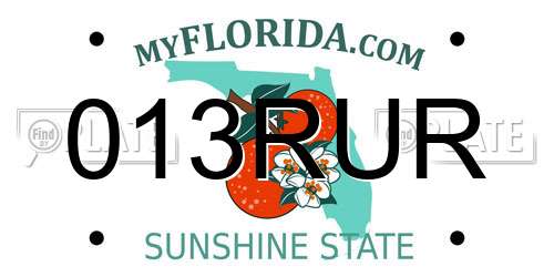 013RUR Florida License Plate