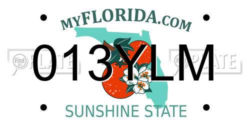 013YLM Florida License Plate