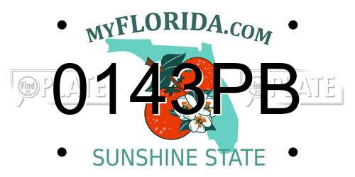 0143PB Florida License Plate