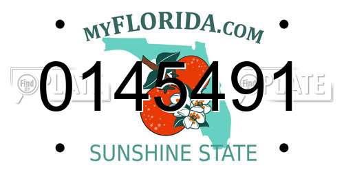0145491 Florida License Plate