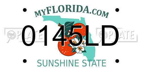 0145LD Florida License Plate
