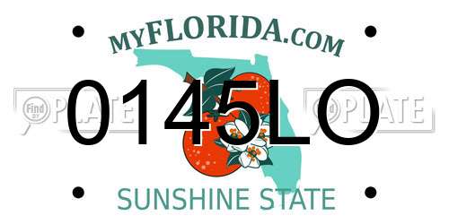 0145LO Florida License Plate