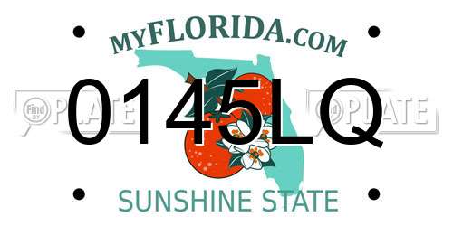 0145LQ Florida License Plate