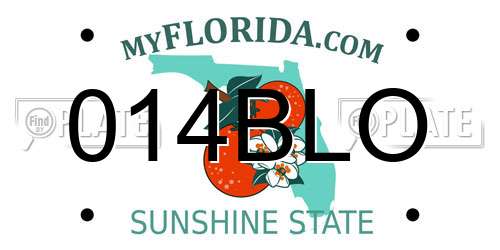 014BLO Florida License Plate