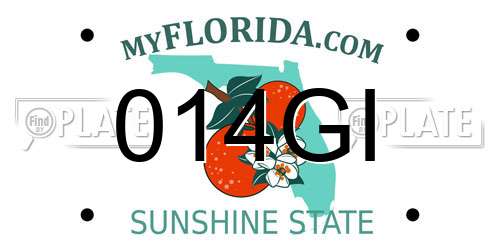 014GI Florida License Plate