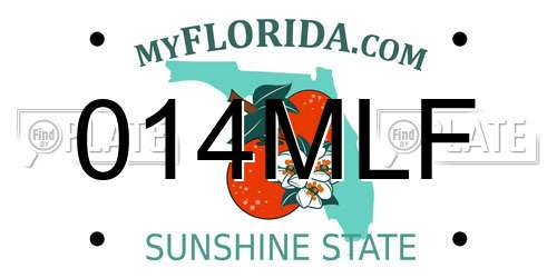 014MLF Florida License Plate