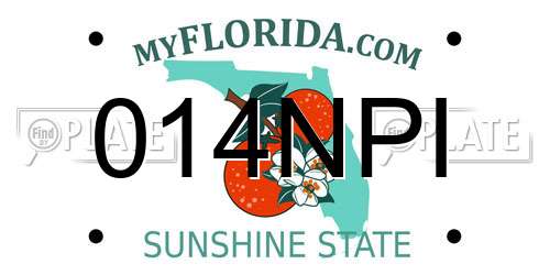 014NPI Florida License Plate