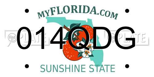 014QDG Florida License Plate