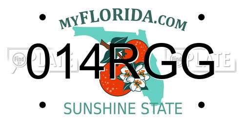 014RGG Florida License Plate