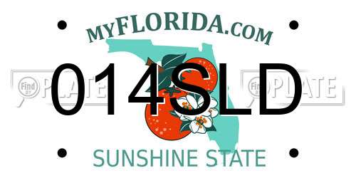 014SLD Florida License Plate