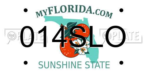 014SLO Florida License Plate