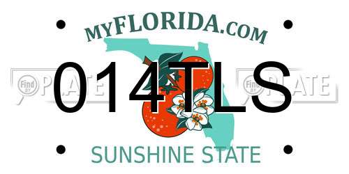 014TLS Florida License Plate