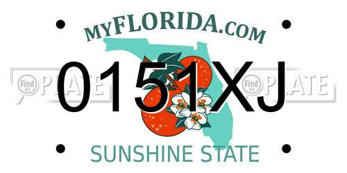 0151XJ Florida License Plate