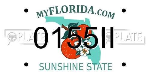 0155II Florida License Plate
