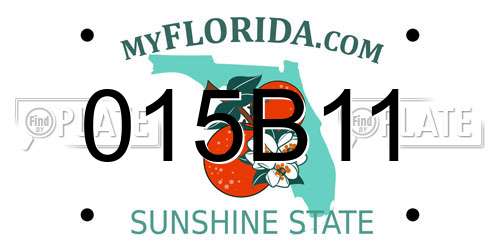 015B11 Florida License Plate
