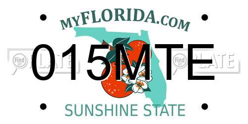 015MTE Florida License Plate