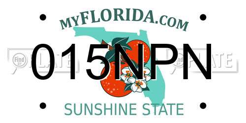 015NPN Florida License Plate