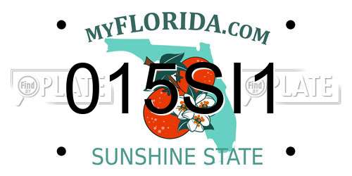 015SI1 Florida License Plate