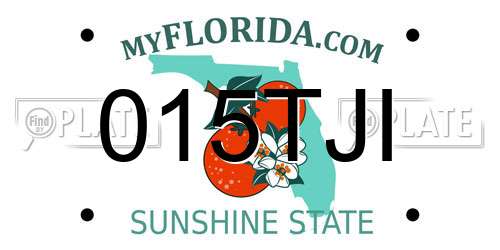015TJI Florida License Plate