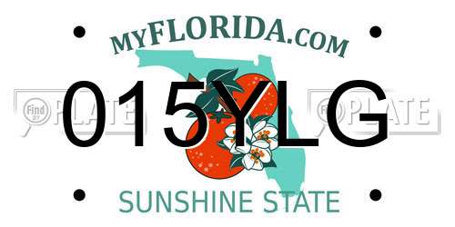 015YLG Florida License Plate