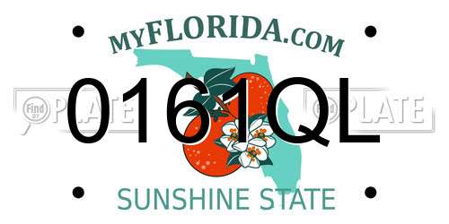 0161QL Florida License Plate