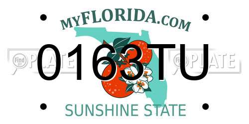 0163TU Florida License Plate