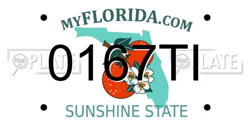 0167TI Florida License Plate