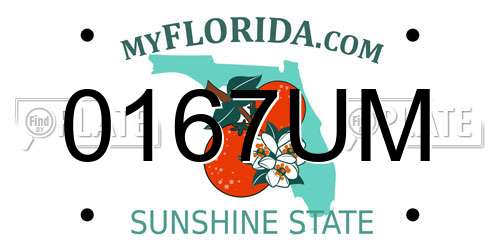 0167UM Florida License Plate