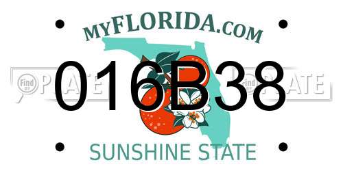 016B38 Florida License Plate