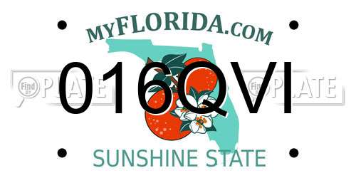 016QVI Florida License Plate