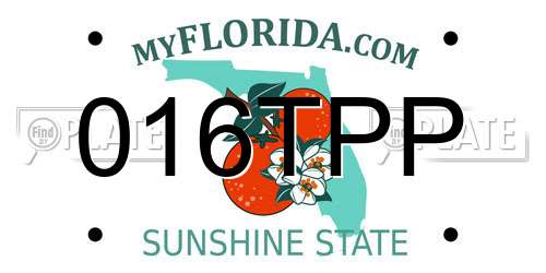 016TPP Florida License Plate