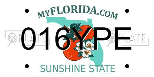 016YPE Florida License Plate