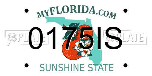 0175IS Florida License Plate