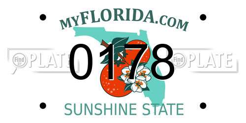 0178 Florida License Plate