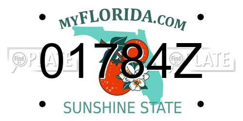 01784Z Florida License Plate