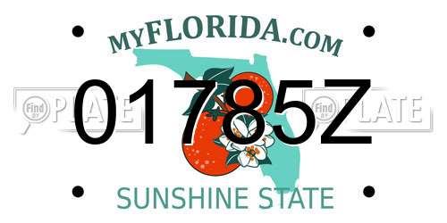 01785Z Florida License Plate