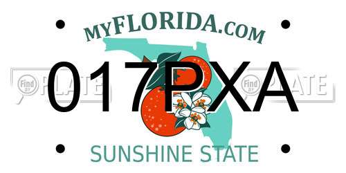 017PXA Florida License Plate