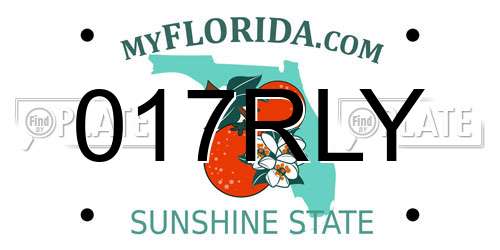 017RLY Florida License Plate