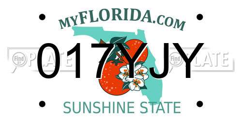 017YJY Florida License Plate
